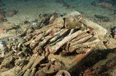 Human remains on the Aikoku Maru, Japanese WW II shipwreck.