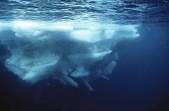 Edge of ice floe underwater.