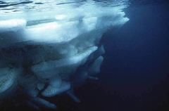 Edge of ice floe underwater.