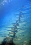 Aerial view of islands showing sand bars and deep water channels.